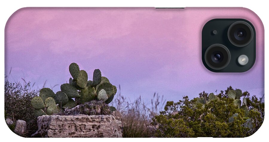 Cacti iPhone Case featuring the photograph New Mexico Sunset with Cacti by Jean Noren
