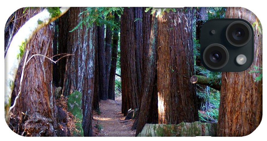 Redwoods iPhone Case featuring the photograph Nice Path by David Armentrout
