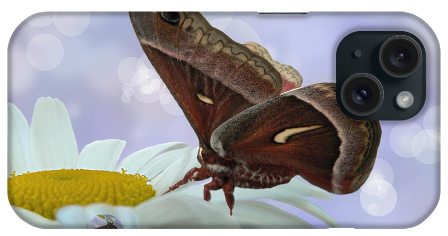 Silk Moth iPhone Case featuring the photograph Nights in White Silk by Barbara St Jean