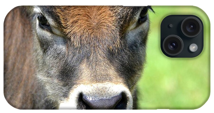 Bull iPhone Case featuring the photograph No Bull by Deena Stoddard