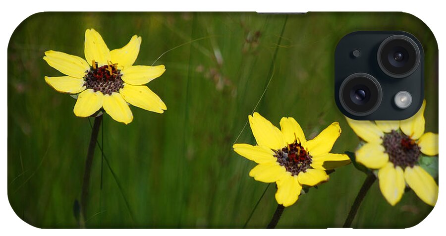 Flower iPhone Case featuring the photograph #NoKXL by Becky Furgason