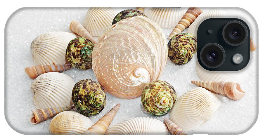 Seashells iPhone Case featuring the photograph North Carolina Circle Of Sea Shells by Andee Design