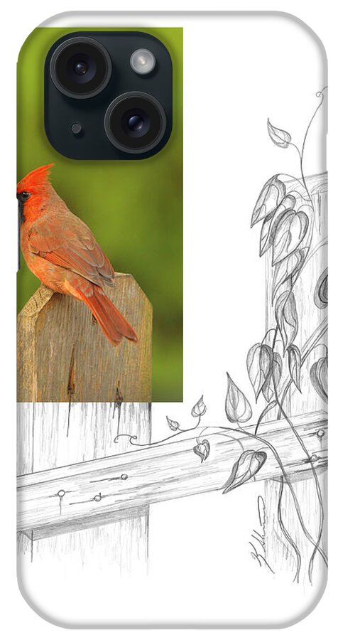 Northern Cardinal iPhone Case featuring the photograph Northern Cardinal by Andrew McInnes