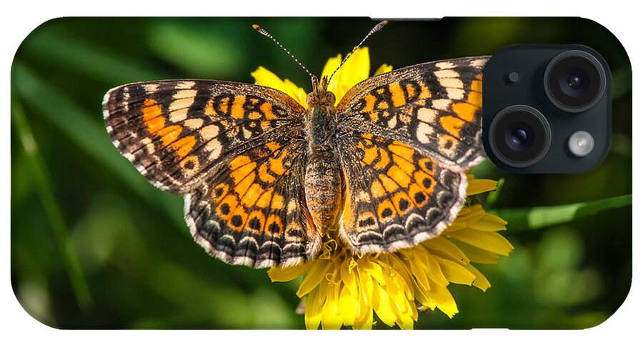 Beautiful Butterfly iPhone Case featuring the photograph Northern Crescent Butterfly by Victor Culpepper