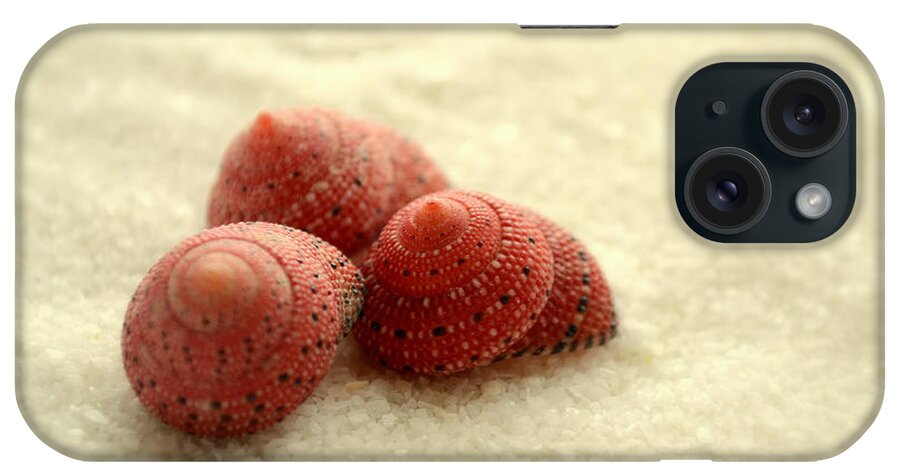 Seashells iPhone Case featuring the photograph Nothing is Ordinary by Melanie Moraga