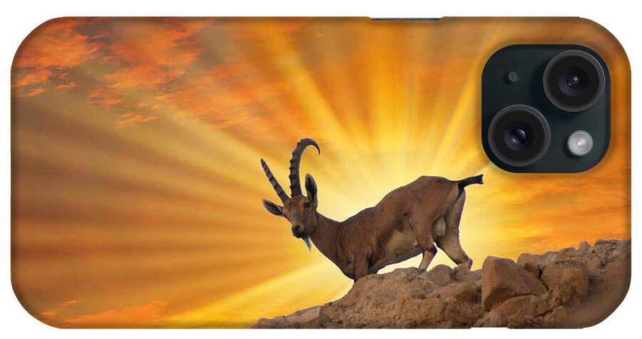 Nubian Ibex iPhone Case featuring the photograph Nubian ibex #3 by Doc Braham