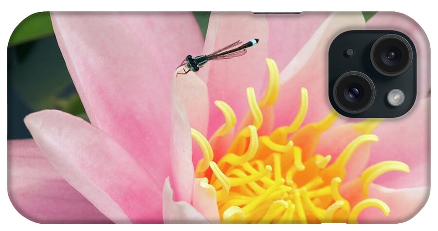 Nymphaea iPhone Case featuring the photograph Nymphaea 'pink Sensation' by Adrian Thomas