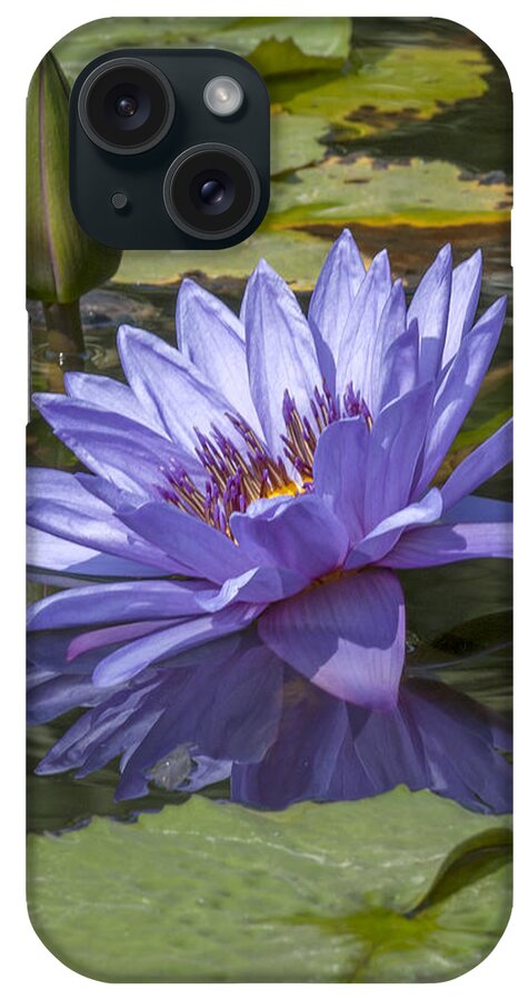 Nature iPhone Case featuring the photograph Nymphaea Water Lily DTHB1633 by Gerry Gantt