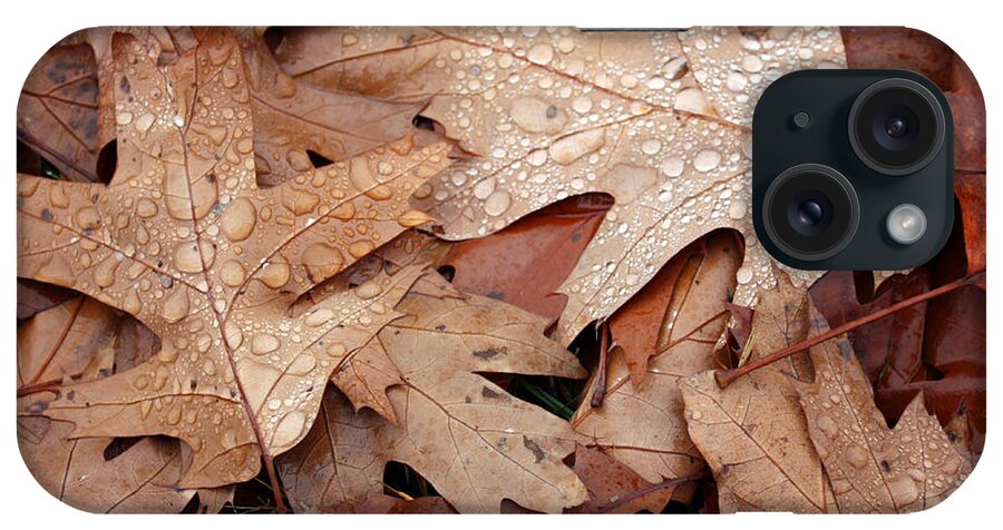 Nature iPhone Case featuring the photograph Oak Leaves and Rain Drops by Gerry Bates