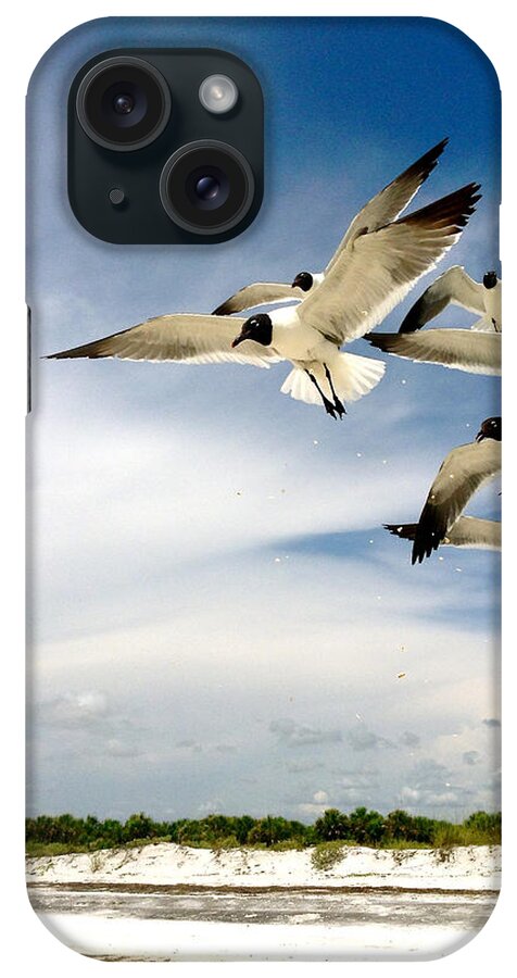 Ocean Painting Paintings iPhone Case featuring the photograph Ocean Birds by Iconic Images Art Gallery David Pucciarelli
