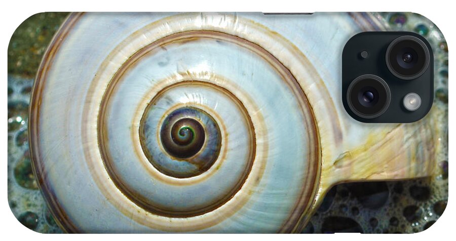 Sea Shell iPhone Case featuring the photograph Ocean Shell Spiral White by Sandi OReilly