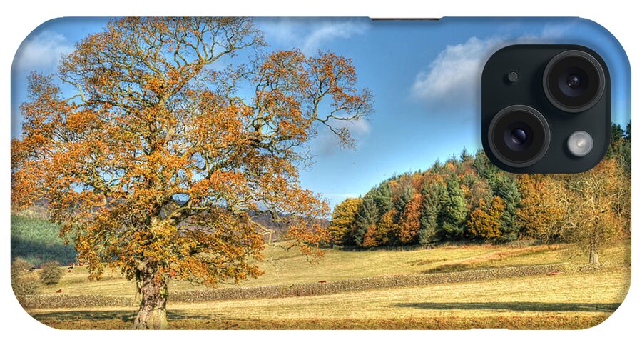 Landscape iPhone Case featuring the photograph October Gold by David Birchall
