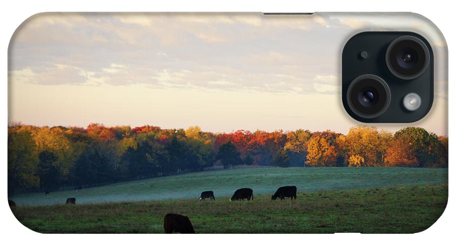 Cattle iPhone Case featuring the photograph October Morning by Cricket Hackmann
