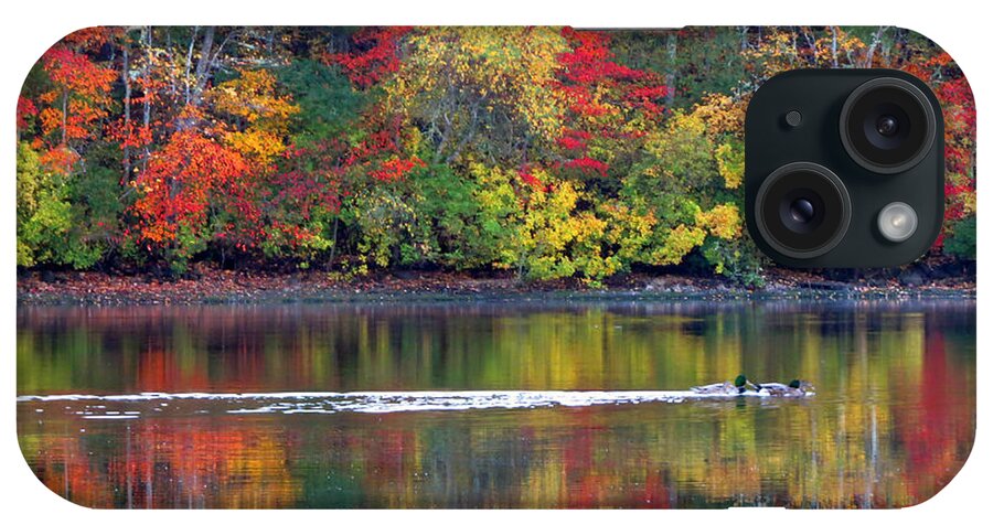 Trees iPhone Case featuring the photograph October's Colors by Dianne Cowen Cape Cod Photography