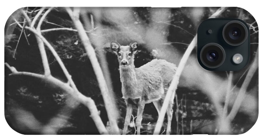 Black And White iPhone Case featuring the photograph Oh Deer by Carrie Ann Grippo-Pike