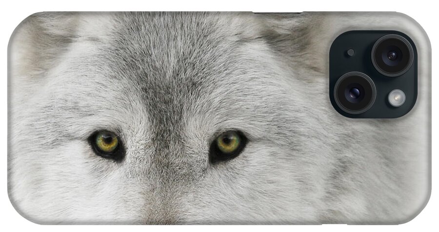 Oh Those Eyes iPhone Case featuring the photograph Oh Those Eyes by Wes and Dotty Weber