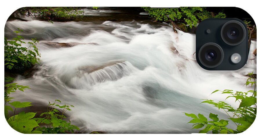 Forest iPhone Case featuring the photograph Oirase Stream by Brad Brizek