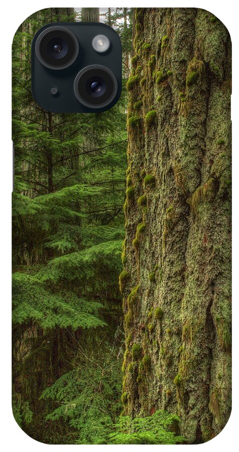 Trees iPhone Case featuring the photograph Old Growth by Randy Hall