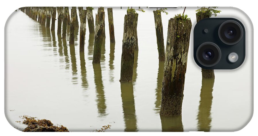 Material iPhone Case featuring the photograph Old Pilings Standing Upright In The by Mint Images - Art Wolfe