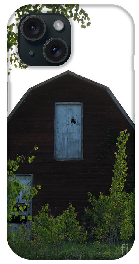 Barns iPhone Case featuring the photograph Old Red Barn 2 by Michael Krek