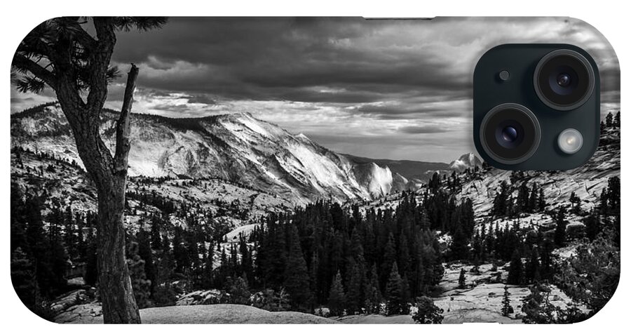 California iPhone Case featuring the photograph Olmstead Point by Cat Connor