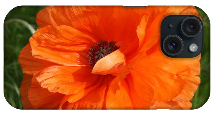 Poppy iPhone Case featuring the photograph Olympia Orange Poppy by Christiane Schulze Art And Photography