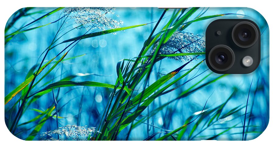 Blue iPhone Case featuring the photograph On a Blue Afternoon by Susanne Van Hulst