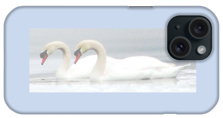 Swans iPhone Case featuring the photograph On A Misty Morning by Angela Davies