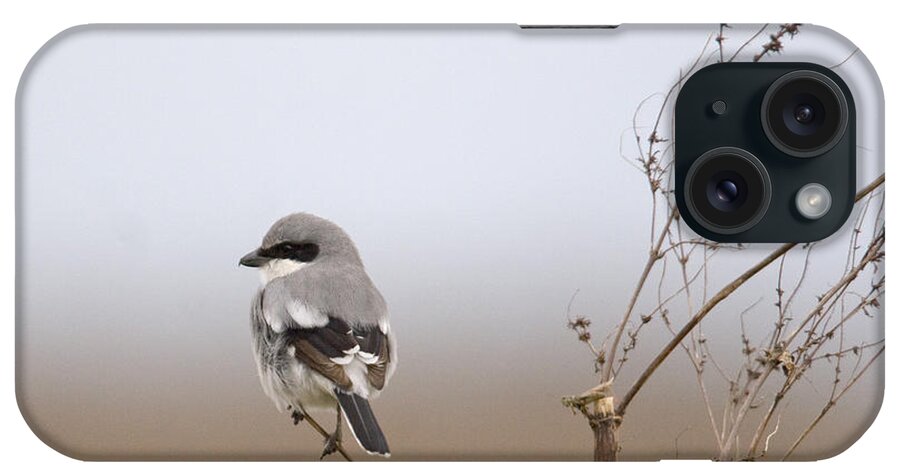 Shrike iPhone Case featuring the photograph On the Hunt by Jim E Johnson