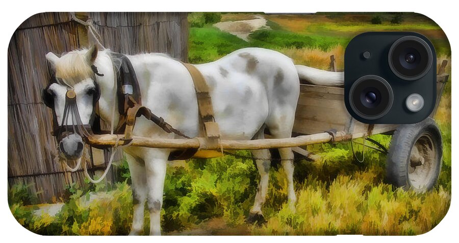 Ken iPhone Case featuring the photograph One Horse Wagon by Ken Johnson