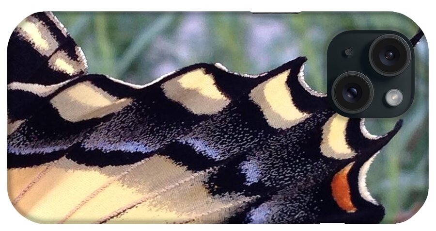 Butterfly iPhone Case featuring the photograph One last chance... by Kate Gibson Oswald