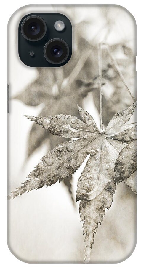 Autumn Leaves iPhone Case featuring the photograph One Misty Moisty Morning by Caitlyn Grasso