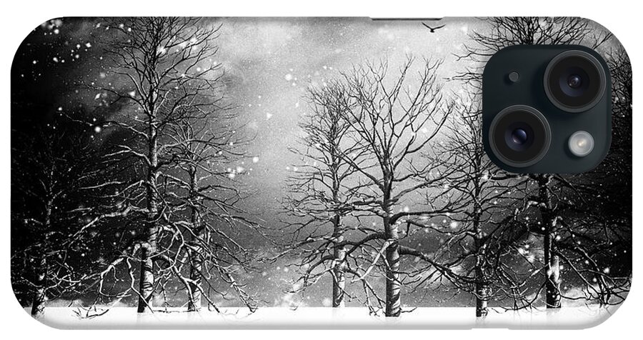 Winter iPhone Case featuring the photograph One Night In November by Bob Orsillo