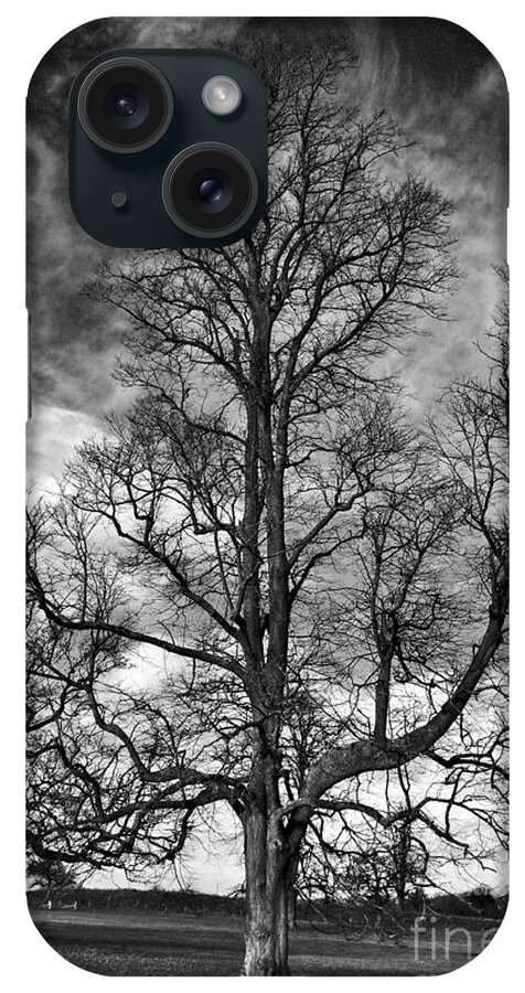 Tree iPhone Case featuring the photograph One Tree by Jeremy Hayden