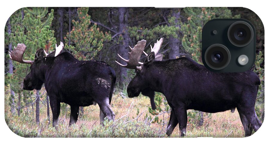 Moose iPhone Case featuring the photograph Only A Step Behind by Shane Bechler