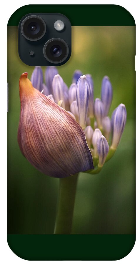 Agapanthus iPhone Case featuring the photograph Only the Beginning by Rona Black