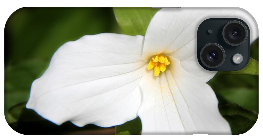 Plants iPhone Case featuring the photograph Ontario's Trillium Flower by Davandra Cribbie