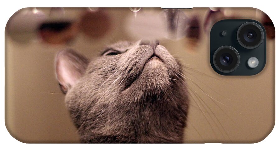 Charlie iPhone Case featuring the photograph oo Shiny by Debbie Cundy