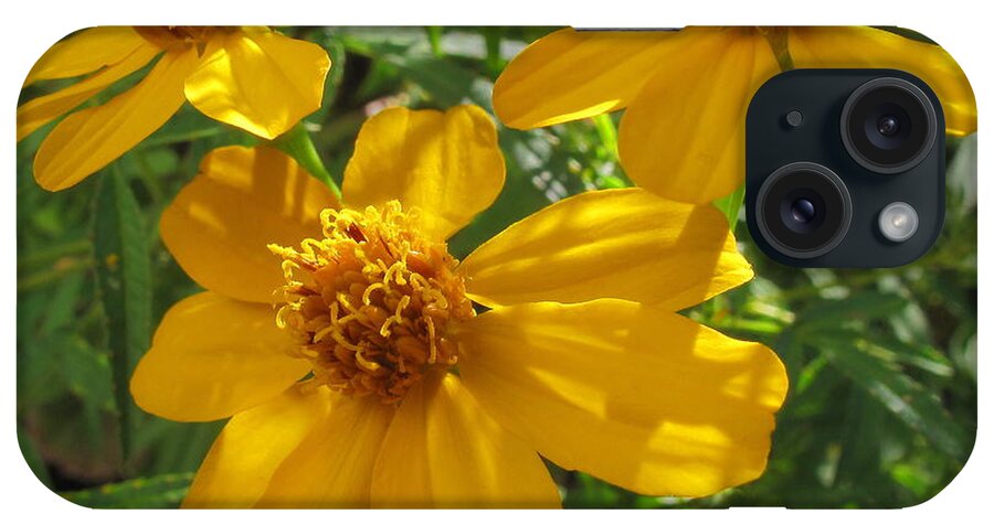 Flowers iPhone Case featuring the photograph Open For Business by Derek Dean