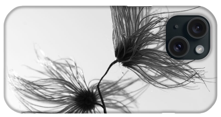 Flowers iPhone Case featuring the photograph Opposites Obstruct by J C