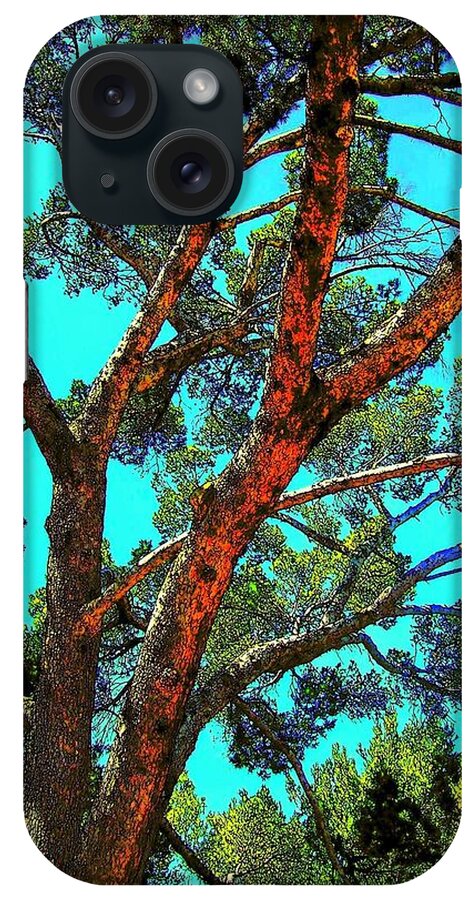 Trees iPhone Case featuring the photograph Orange And Turquoise by Jodie Marie Anne Richardson Traugott     aka jm-ART