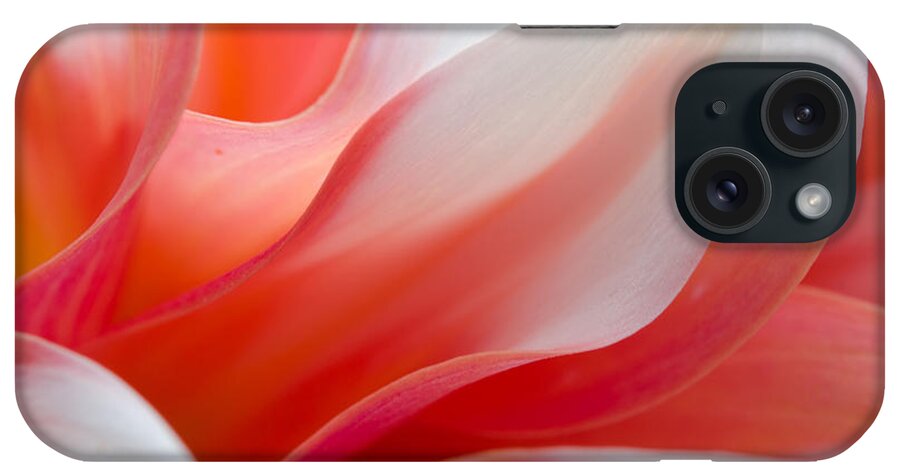 Dahlia iPhone Case featuring the photograph Orange Dream by Kathy Paynter