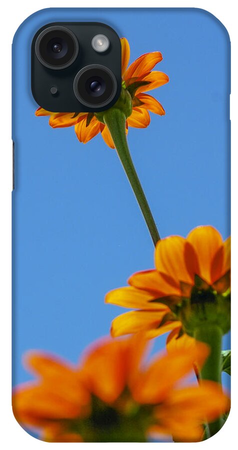 Orange Flowers iPhone Case featuring the photograph Orange flowers on blue sky by Debbie Karnes
