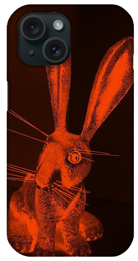 Rabbit iPhone Case featuring the photograph Orange New Mexico Rabbit by Rob Hans