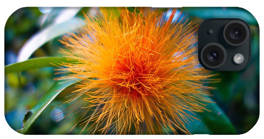Orange iPhone Case featuring the photograph Orange Ohia 2 by Robert Meyers-Lussier