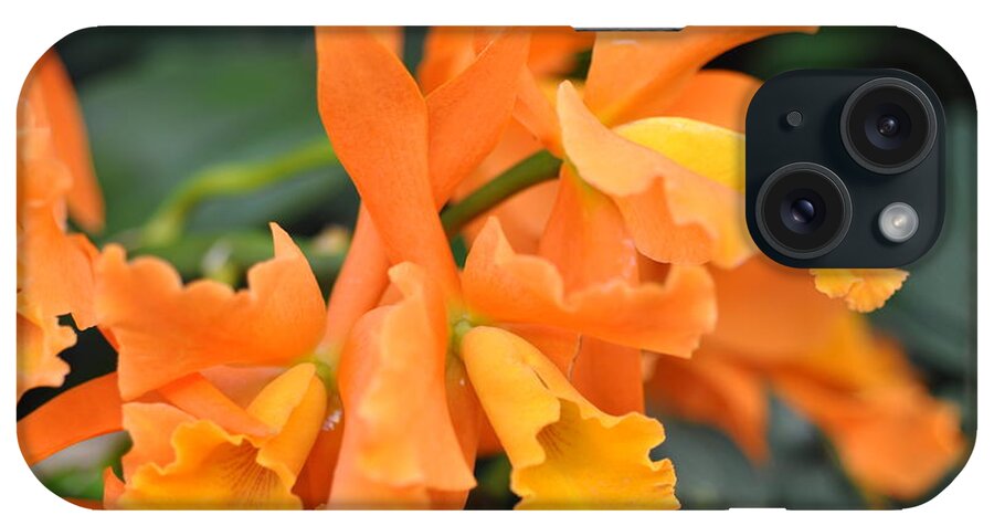 Orchid iPhone Case featuring the photograph Orange Orchid by Sue Morris