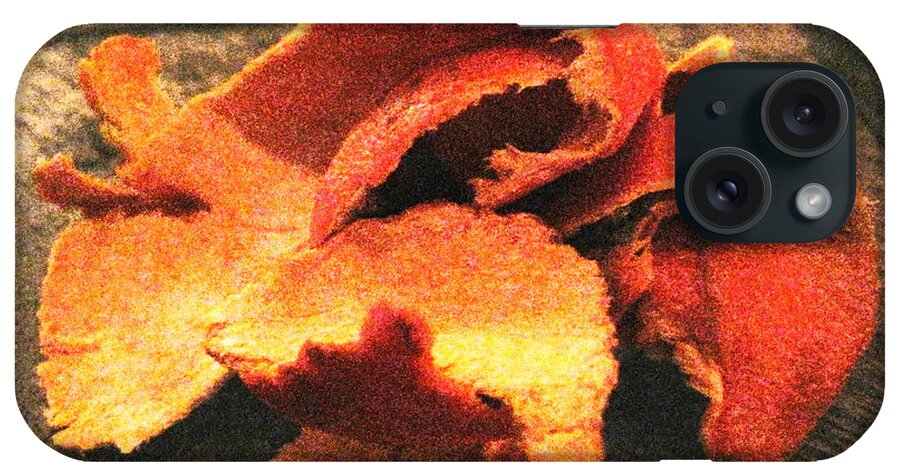 Orange iPhone Case featuring the photograph Orange Peel 3 by Jessica Levant