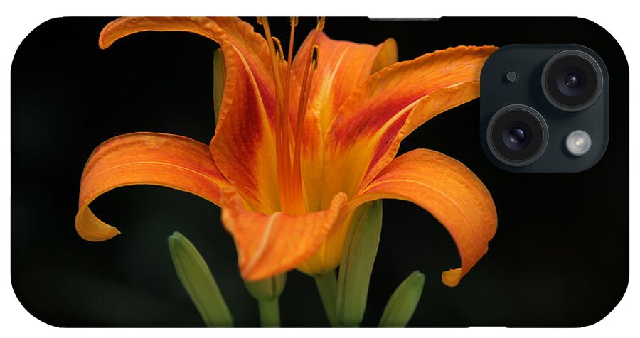 Orange iPhone Case featuring the photograph Orange Tiger Lily Over Black by Juergen Roth