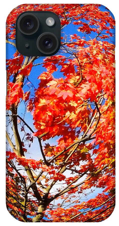 Autumn iPhone Case featuring the photograph Orange Twirl -1 by Glenn Feron