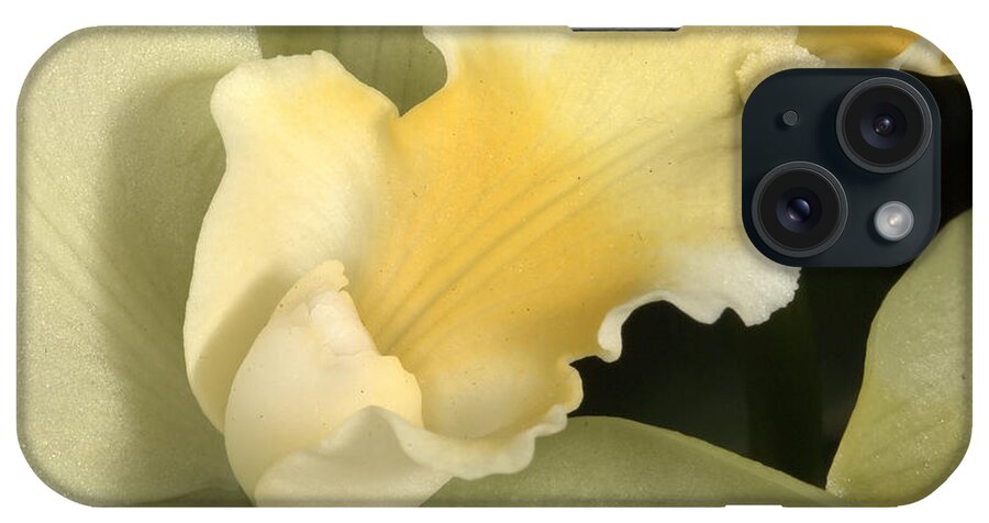 Orchid iPhone Case featuring the photograph Orchid 475 by Wesley Elsberry